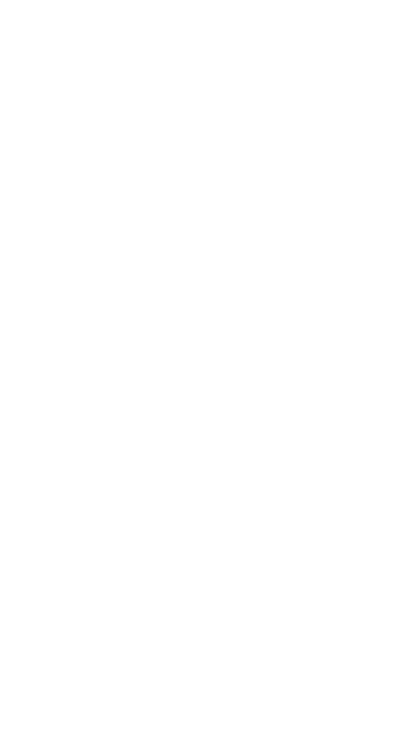 UNDP - United Nations Development Programme
